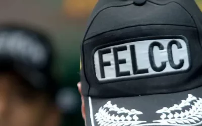 felcc 2