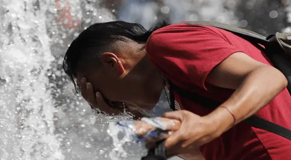 ola de calor en mxico foto