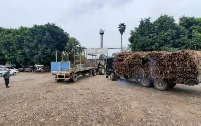 Caneros buscan hacer zafra mientras el gobierno fija porcentajes de subproductos