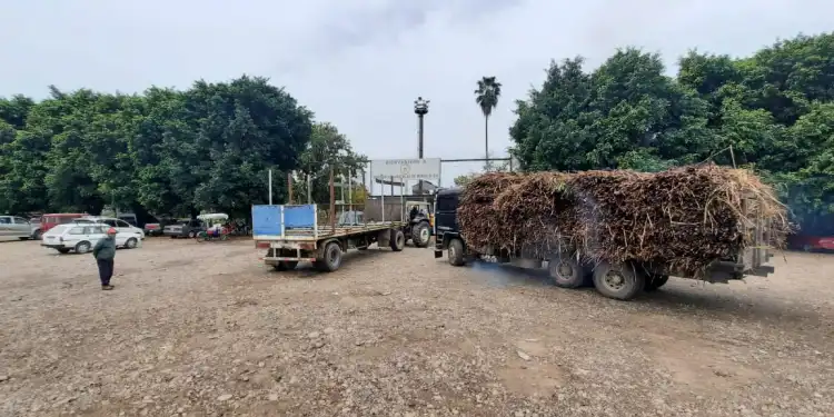 Caneros buscan hacer zafra mientras el gobierno fija porcentajes de subproductos