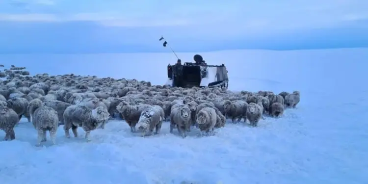 Ola de frio polar en Argentina Rios congelados y temperaturas bajo cero