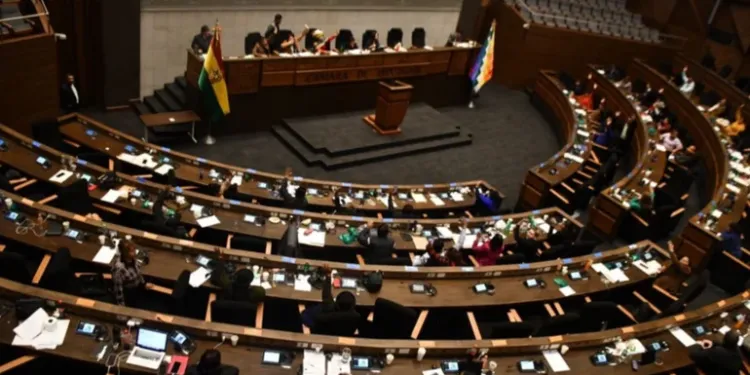 camara de diputados