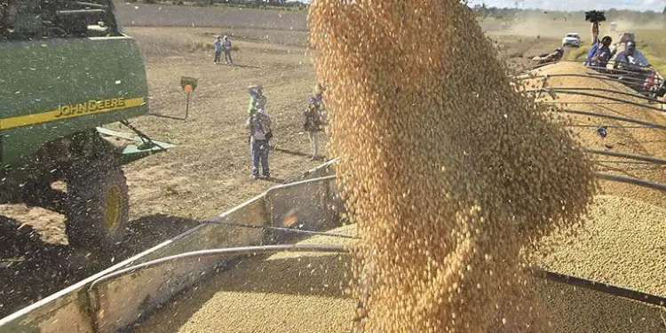 Anapo destaca alza del precio de la soya a 504 dolares