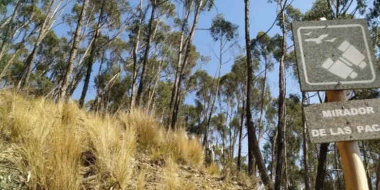 bosque la paz