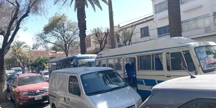 buses del servicio pblico