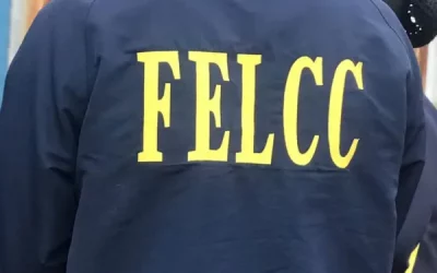 felcc 611