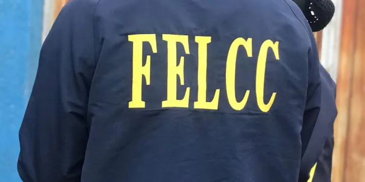 felcc 611