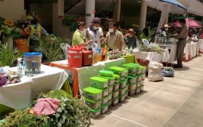 feria mercado central tarija