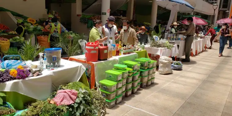 feria mercado central tarija