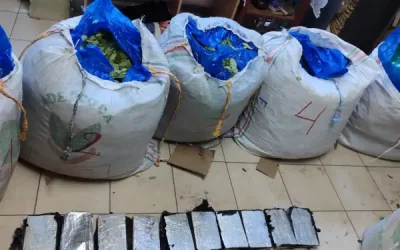 narcotrafico tarija droga en coca