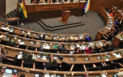 diputados 2 creditos 101 9512290 20240720154131