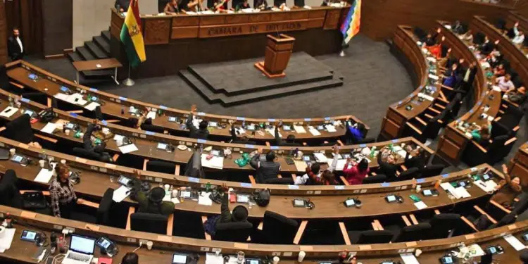 diputados 2 creditos 101 9512290 20240720154131